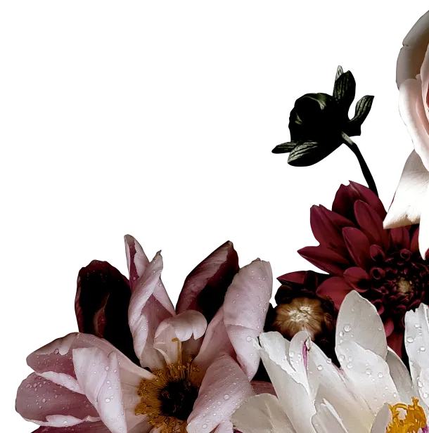 Flores